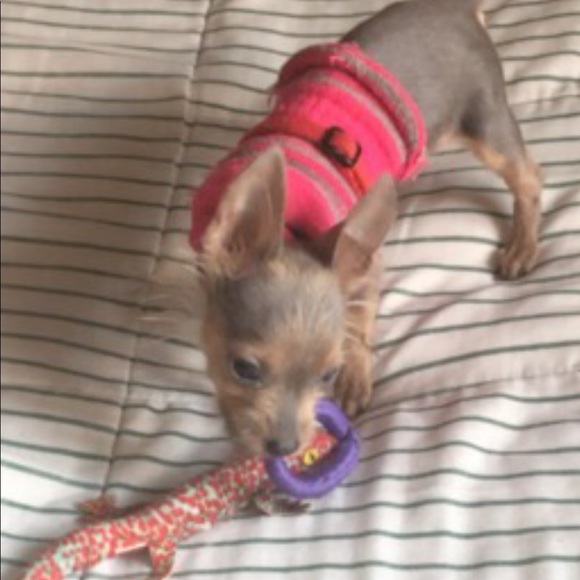 Meet your Posher, Vickie Jean - Picture 6 of 8